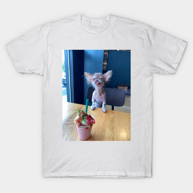 Pup cup T-Shirt by Cricketthegremlin
